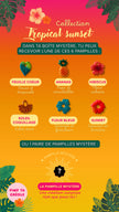Mystéry BOX 
