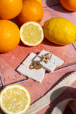 Coquillage et étoile de Mer
