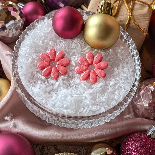 Petites marguerites🌼